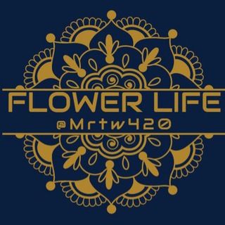 Flower Life生命之花