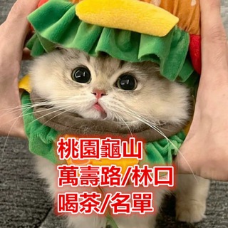 桃園龜山林口妹妹類型及價位喝茶小棧每日更新中ing