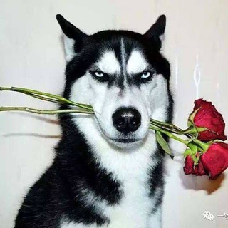 （群組已刪除,請所有人退群）