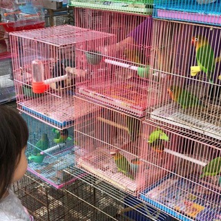 （群組已刪除,請所有人退群）