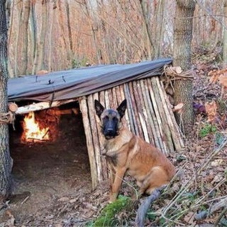 野外生存|荒野求生|狩猎记录😾