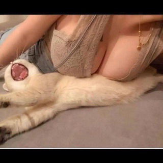 噴水💦小野貓 抓龍筋🐉