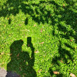 貓七茶舍🇹🇼台灣成人娛樂🔞推薦站