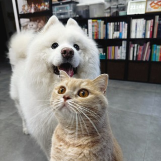 毛寶貝😹萌寵賣萌中心