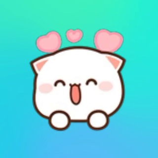 📌 新手喝茶指南｜小琪溫柔提醒🐣