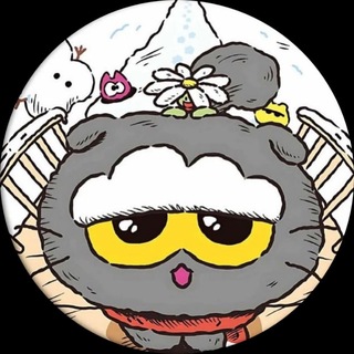 貓七的碎念貓窩🐱💕